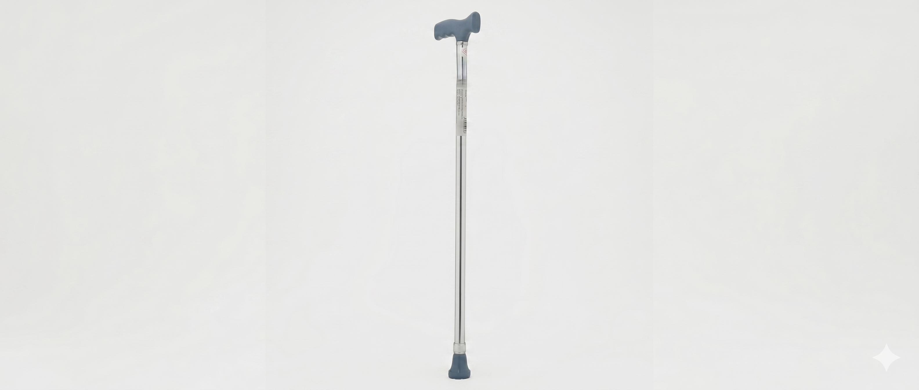 Walking Stick Single Leg